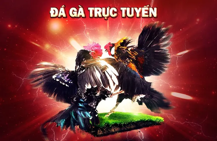 Tham Gia Đá Gà Gem88 Ngay Hôm Nay Để Trải Nghiệm Hồi Hộp
